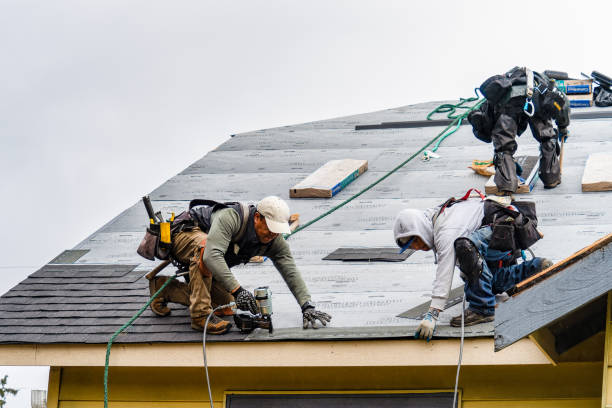 Professional Roof Installation technician working in Centreville, MI